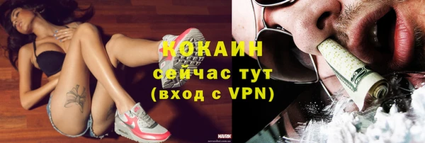 индика Абдулино