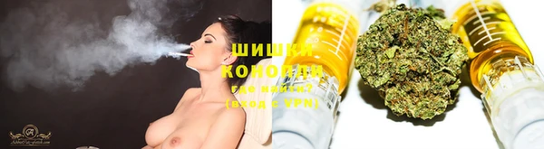 ПСИЛОЦИБИНОВЫЕ ГРИБЫ Билибино
