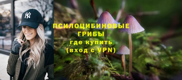 индика Абдулино