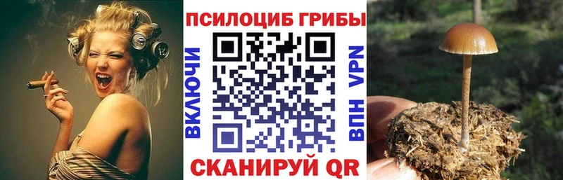 мега онион Тайга Псилоцибиновые грибы MAGIC MUSHROOMS